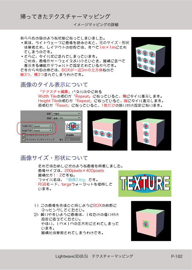 ޤɤΡlight Wave 3D׻Ϥ